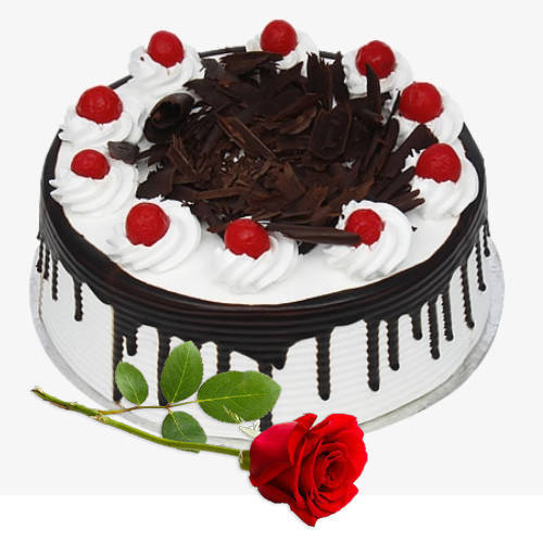 Delicious Black Forest Eggless Cake with Single Rose