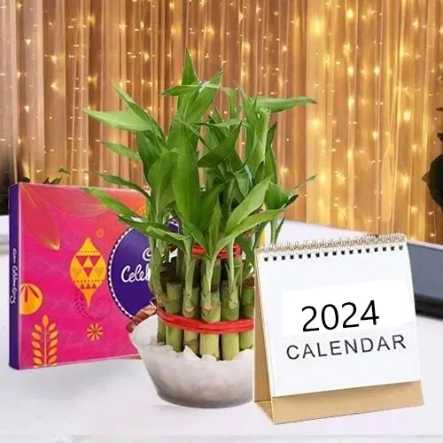 Impressive Combo of Lucky Bamboo LED Light Cadbury Celebration