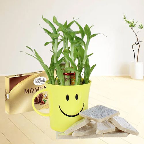 Yummy Kaju Katli N Ferrero Rocher Moments with 2-tier Bamboo Plant in Smiley Mug