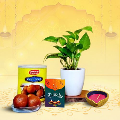 Sweet Treats Gulab Jamun Special Sweet Treats Gulab Jamun Special