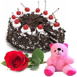 Radiant Rose with Teddy and Black Forest Cake