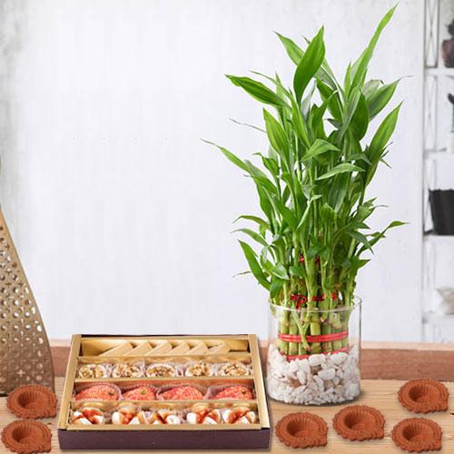 3 Tier Lucky Bamboo with Assorted Sweets n Diya