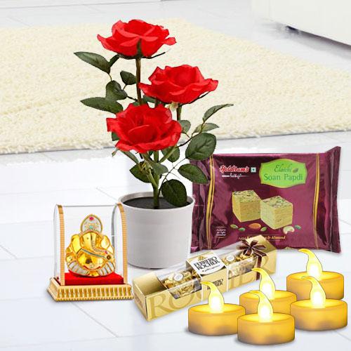 Exclusive Rose Plant N Assortments Combo