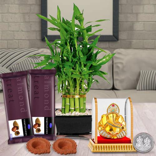 Marvelous 2 Tier Lucky Bamboo Combo Gift