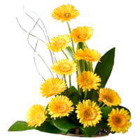 Lovely Bouquet of Gerberas