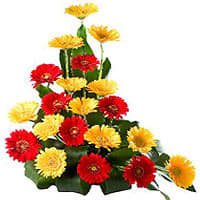 Vibrant Gerberas Arrangement