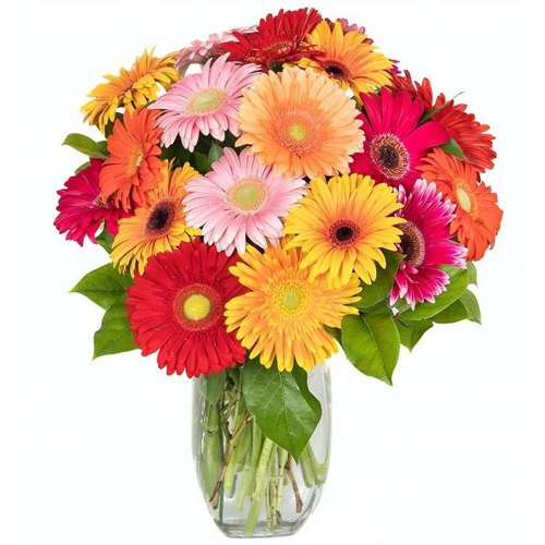 Lovely Gerberas Vase Arrangement