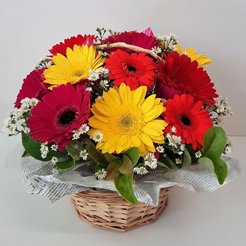 Beautiful Gift Basket of Mixed Gerberas