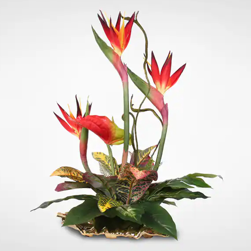 Fantastic Arrangement of Birds of Paradise and Anthuriums