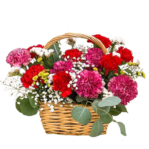 Kaleidoscope of Carnations