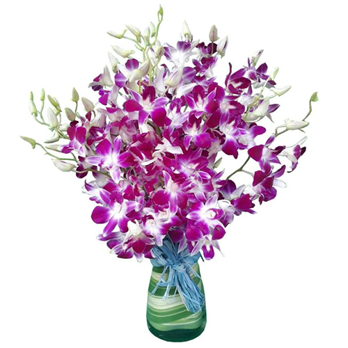 Pretty Orchids in Vase