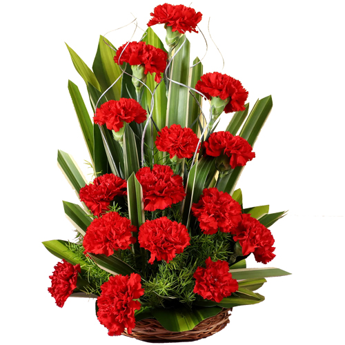 Amazing Red Carnations Basket