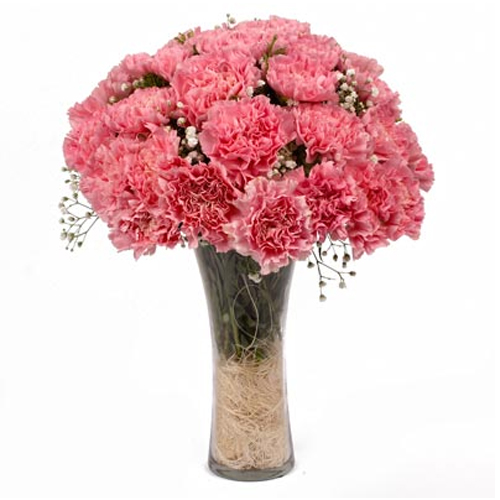 Lovely Pink Carnations in a Vase