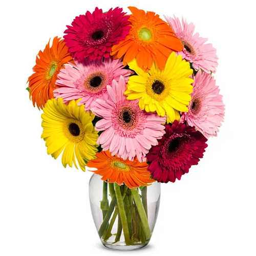 Pretty Mixed Gerberas in a Glass Vase