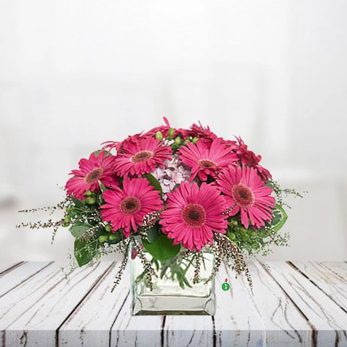 Fresh Bunch of Pink Gerberas