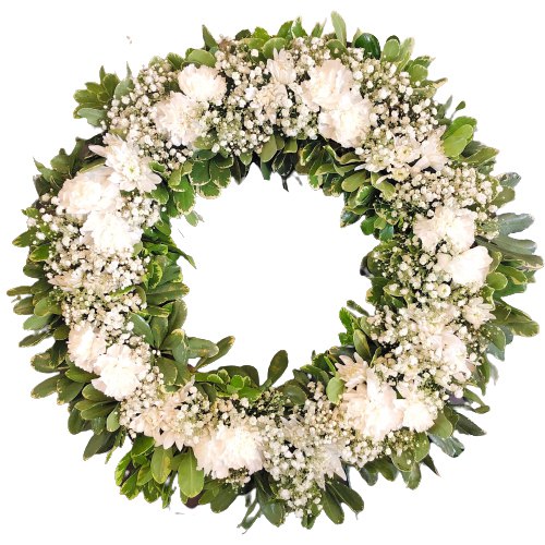 Elegant Wreath of Carnations
