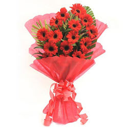 Stunning Red Gerberas Bouquet