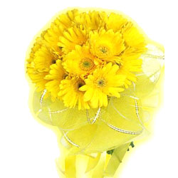 Special Yellow Gerberas Bouquet