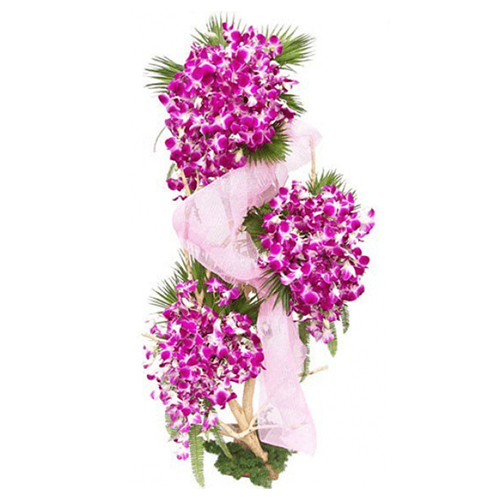 Majestic Three Tier Arrangement of Orchid Stems