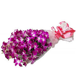 Luxury Bunch of Purple Orchids