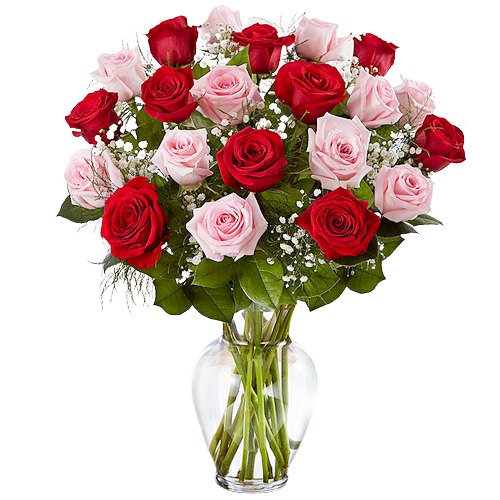 Display of Roses in a Vase
