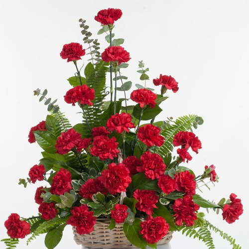 Special Arrangement of Red Carnations
