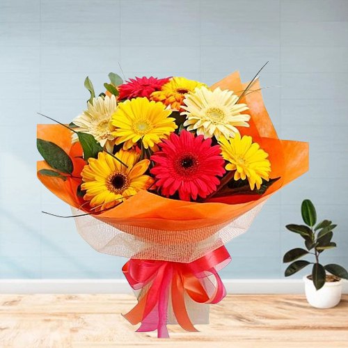 Charming Gerberas Bouquet