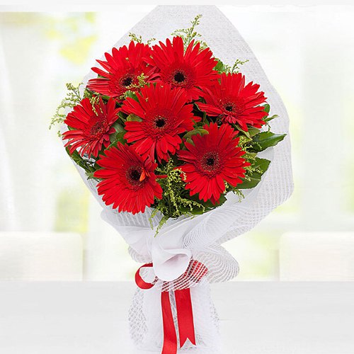 Bright Red Gerberas Bouquet