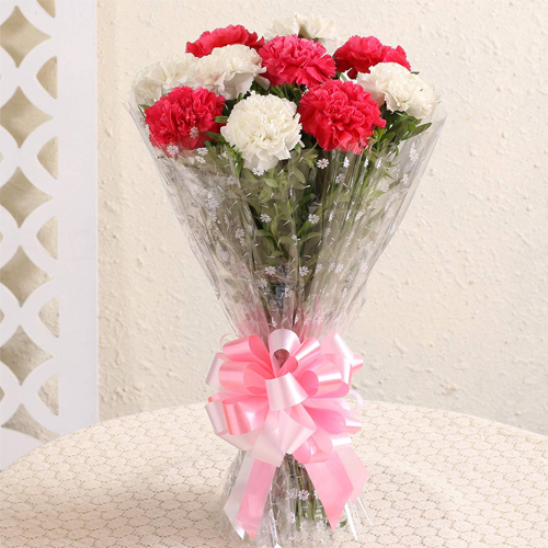 Suave Carnations Bouquet