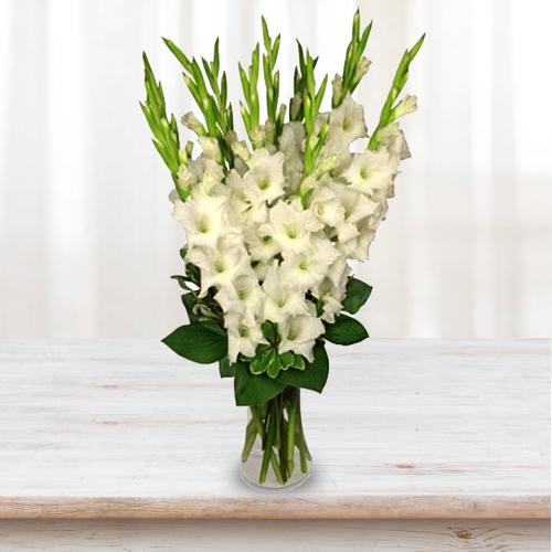 Artistic Display of White Gladiolus in a Glass Vase