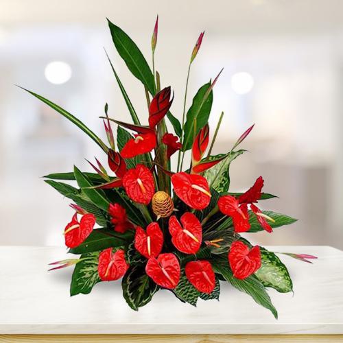 Breathtaking Anthurium n BOP Arrangement