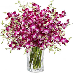 Graceful Purple Orchids in Glass Vase