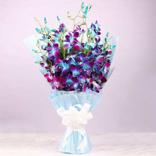 Exquisite Bunch of Orchids
