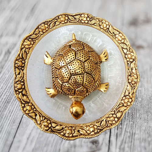Wish Maximum Age, Stability  N  Determination with Feng Shui Metal Tortoise on Plate