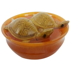 Exclusive Fengshui Bowl with  Tortoise