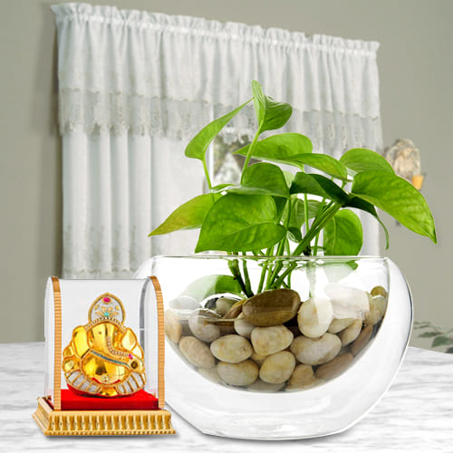 Divine Gift of Lord Ganesha Idol with Money Plant in Glass Vase