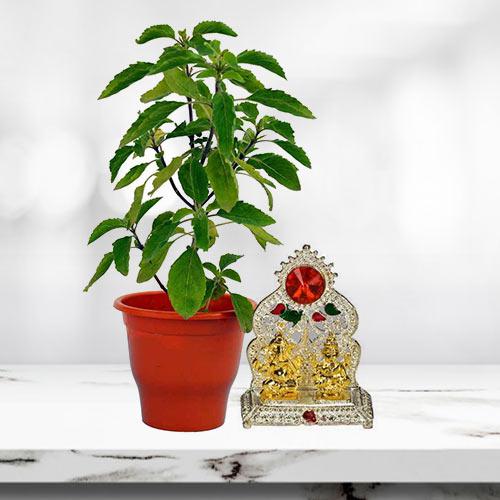 Aesthetic Holy Tulsi Plant with Ganesh Laxmi Mandap