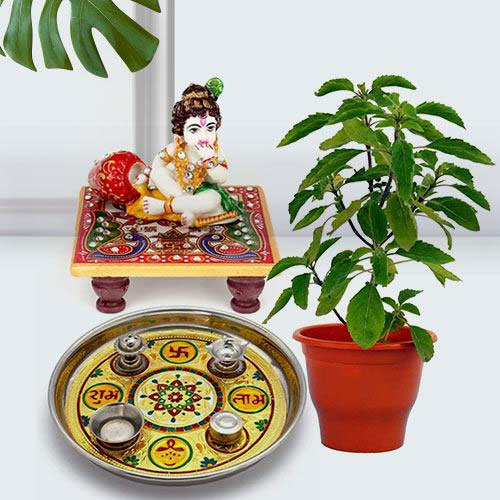 Traditional Puja Gift with Holy Tulsi Plant for Devoted Mom