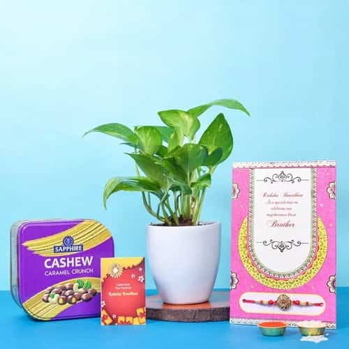 Kundan Rakhi Choco N Potted Plant