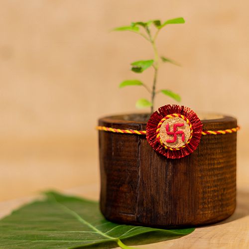 Natures Gift Swastik Rakhi Set