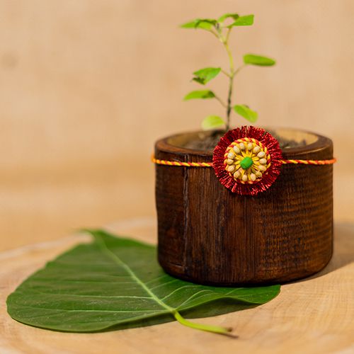 Plantable Sneh Rakhi Hamper