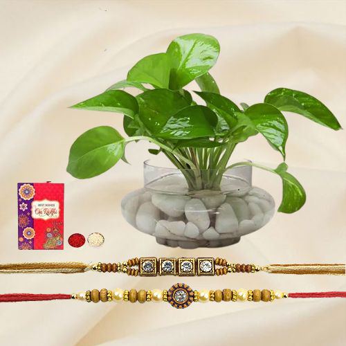 Prosperity Gift on Rakshabandhan